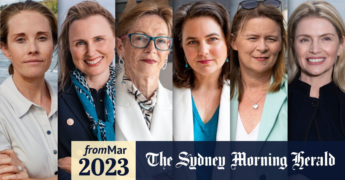 NSW election 2023 Teal candidates have their sights set on Liberal
